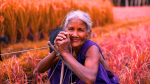 Bangladeshi woman in a field, smiling in a blue dress with grey hair