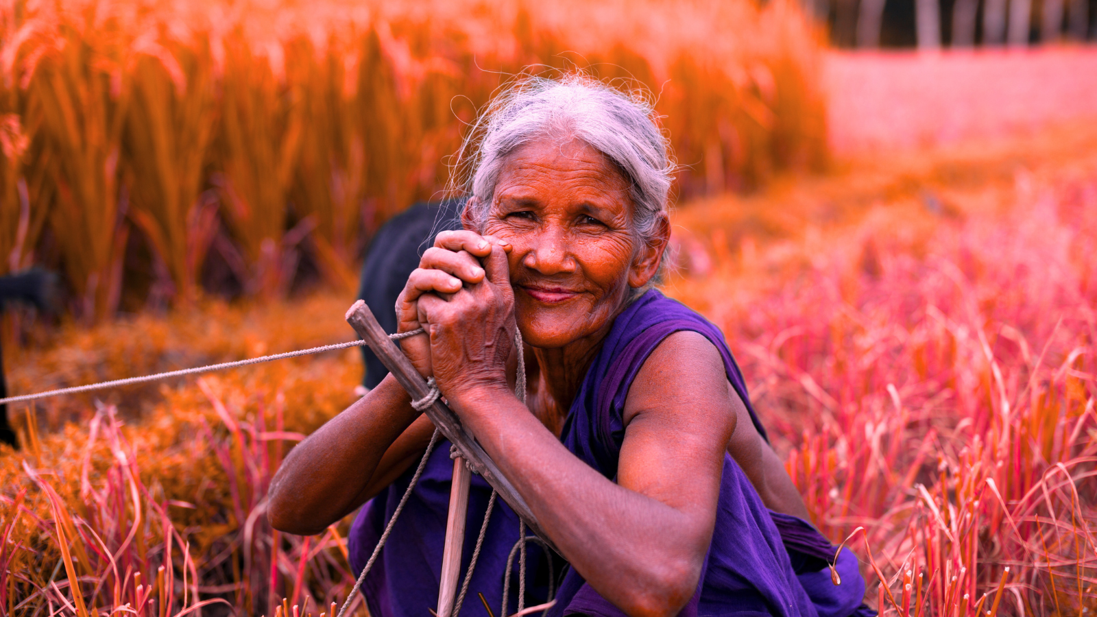 Bangladeshi woman in a field, smiling in a blue dress with grey hair